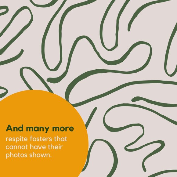 Meet the fosters! - Picture 15 of 15